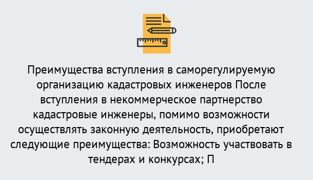 Почему нужно обратиться к нам? Грязи Что дает допуск СРО кадастровых инженеров?