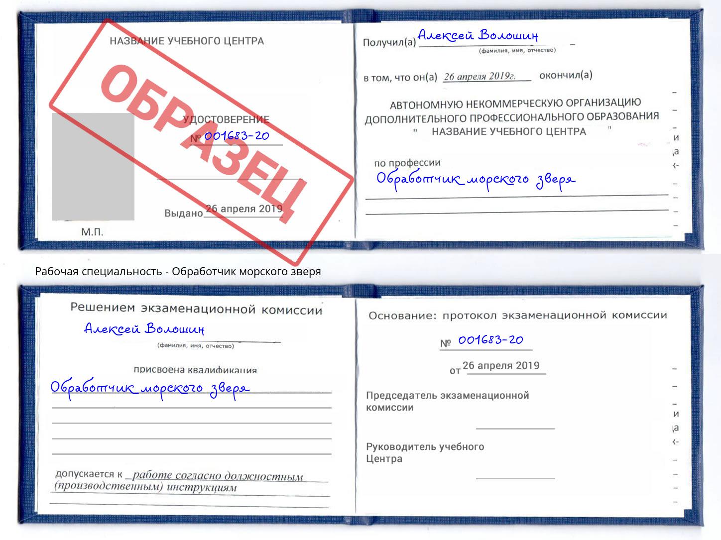 Обработчик морского зверя Грязи