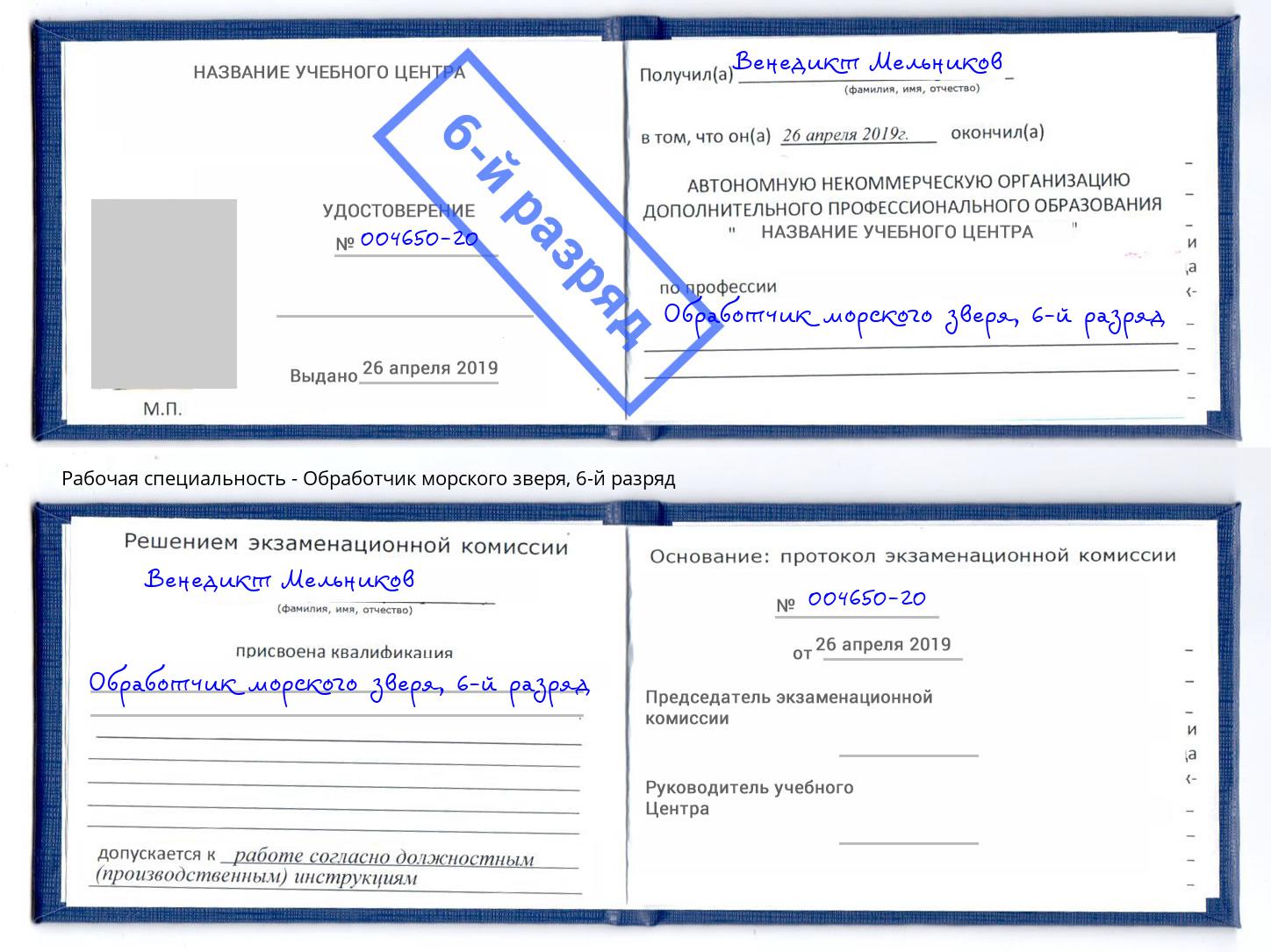 корочка 6-й разряд Обработчик морского зверя Грязи