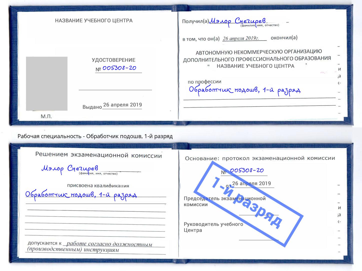 корочка 1-й разряд Обработчик подошв Грязи