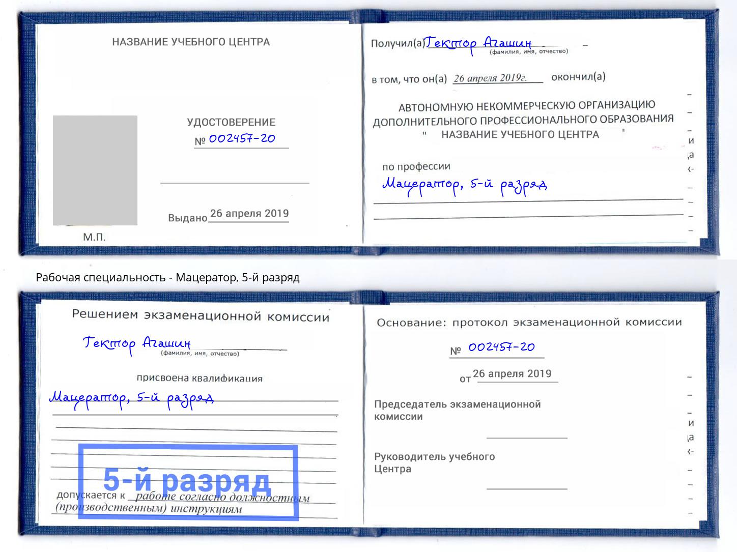 корочка 5-й разряд Мацератор Грязи