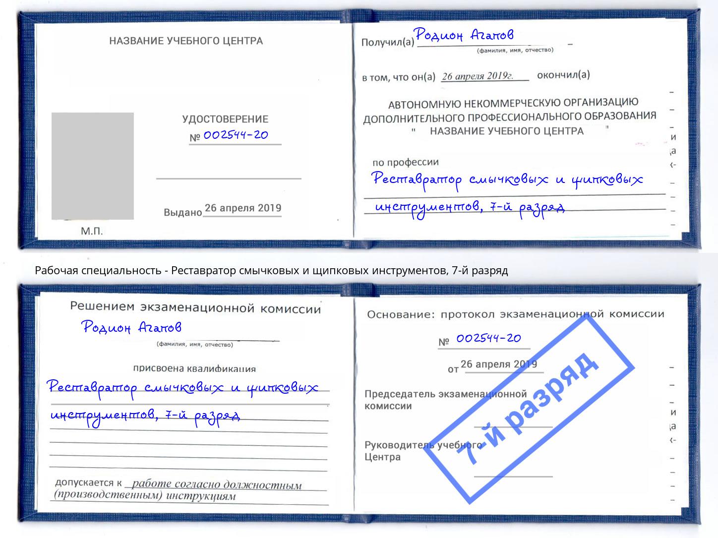 корочка 7-й разряд Реставратор смычковых и щипковых инструментов Грязи