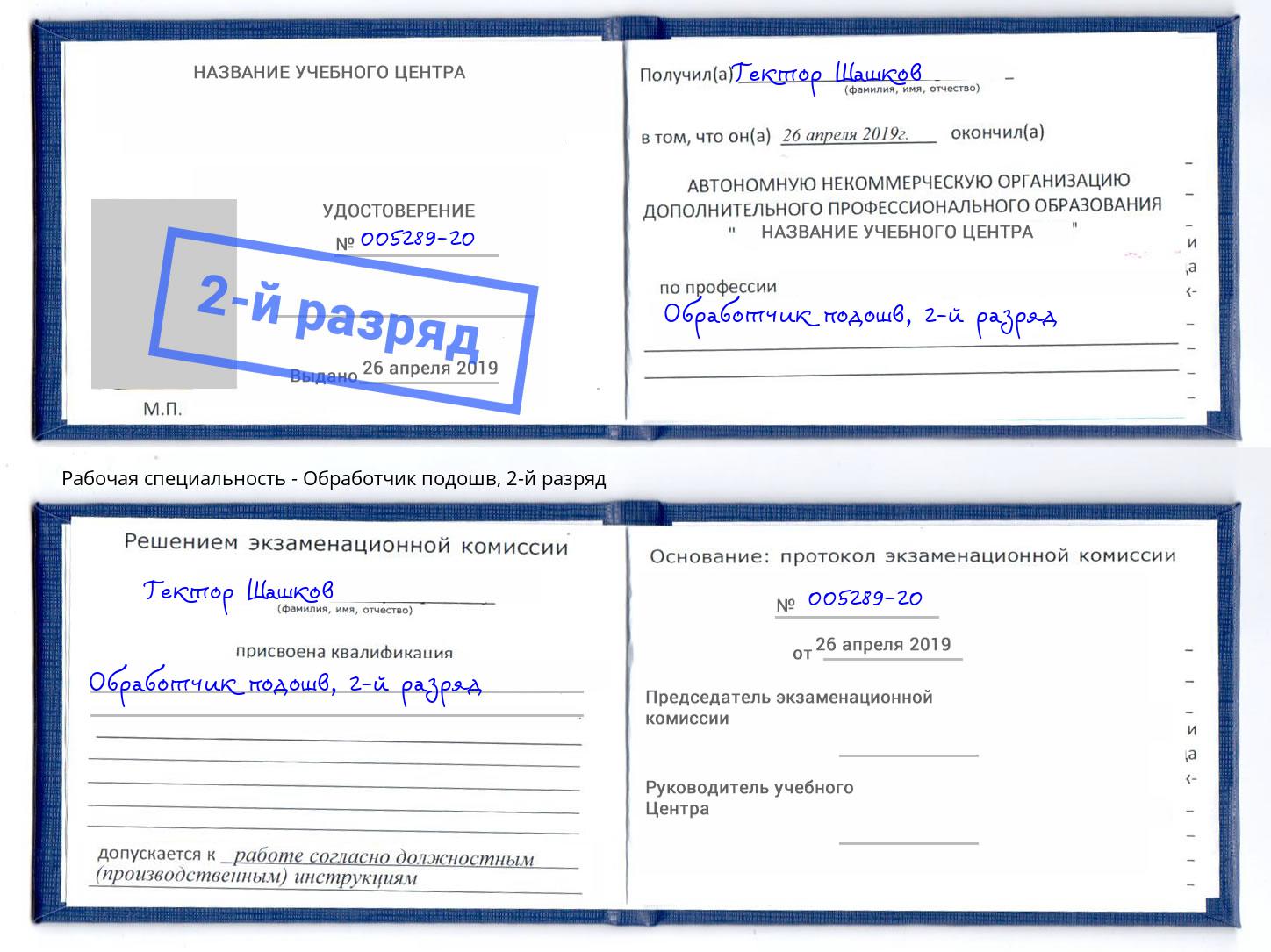 корочка 2-й разряд Обработчик подошв Грязи