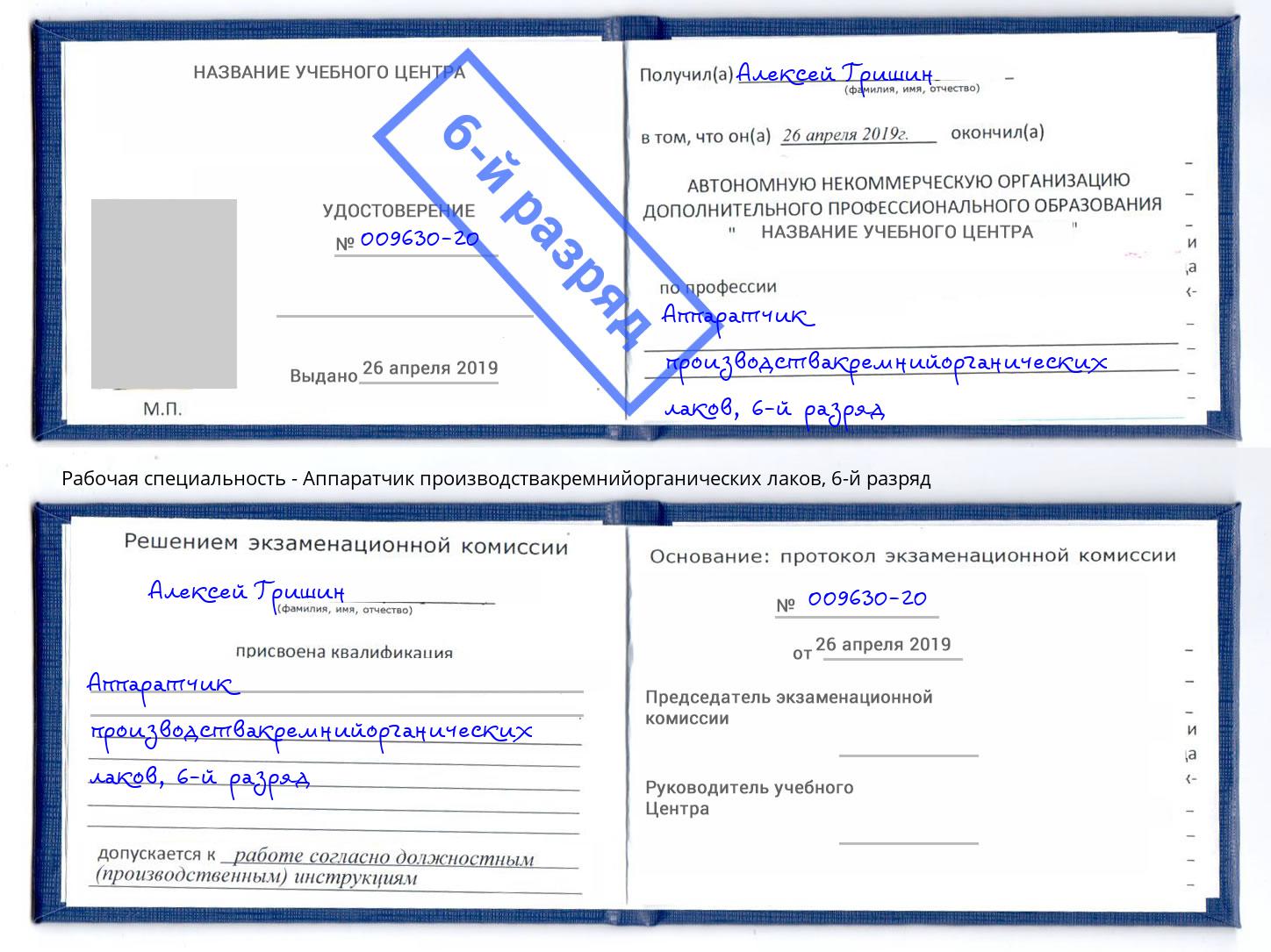 корочка 6-й разряд Аппаратчик производствакремнийорганических лаков Грязи