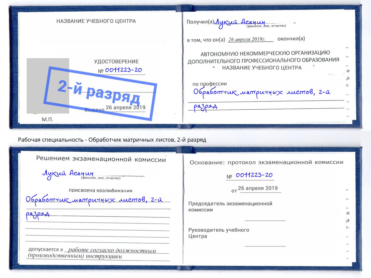 корочка 2-й разряд Обработчик матричных листов Грязи